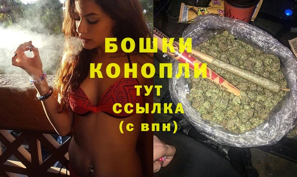 молекула духа Лагань