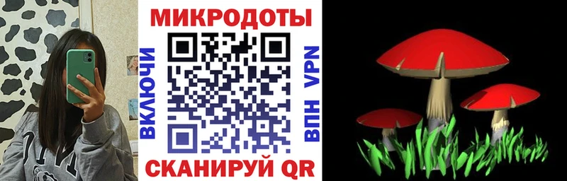 наркота Куровское гидра рабочий сайт Псилоцибиновые грибы GOLDEN TEACHER