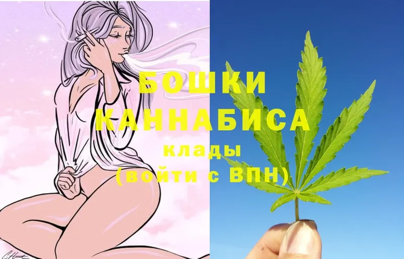 Конопля Bruce Banner  shop телеграм  Куровское 